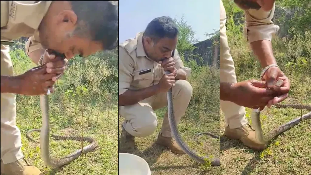Viral video:  పాముకు సీపీఆర్ చేసిన పోలీస్‌. వైరల్‌ వీడియో..
